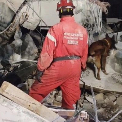 Vatrogasac Zigi je još jednom pokazao zašto ga smatramo ravnopravnim članom Specijalističkog tima za spasavanje iz ruševina